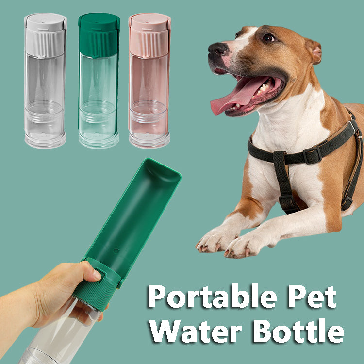 Water Bottle Used As Dog Drinking Bowl