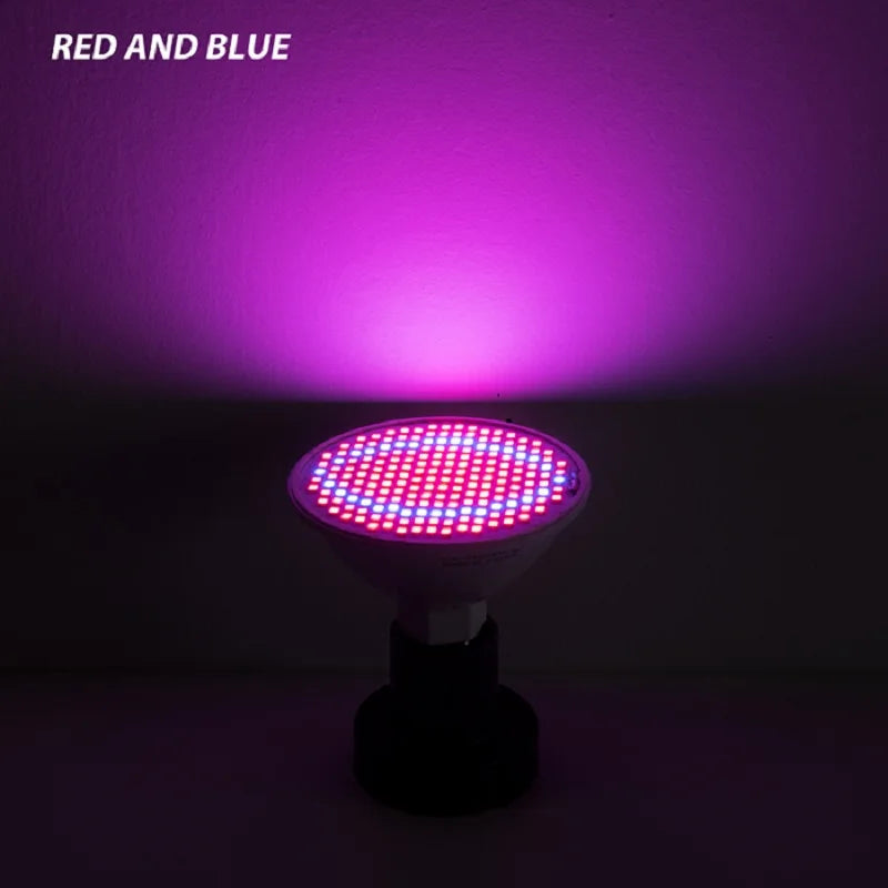 47524775166265|47524775199033|47524775231801|47524775264569|47524775297337|47524775330105|47524775362873|47524775395641|47524775428409|47524775461177|47524775493945|47524775526713|47524775559481|47524775592249|47524775625017|47524775657785|47524775690553