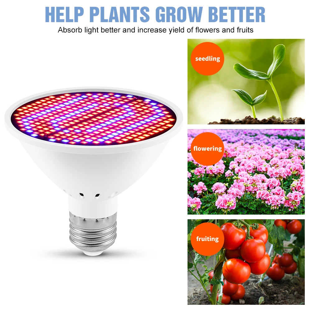 Lamp: GU5.3 Led Fitolampy 85-265V Growing Lamp E14 UV IR Grow Bulb LED E27 Plant Light For Seedling Vegetables B22 Cultivo Indoor GU10