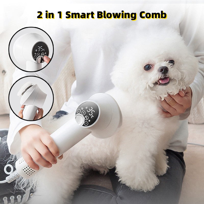 2 In 1 Smart Blowing Pet Comb