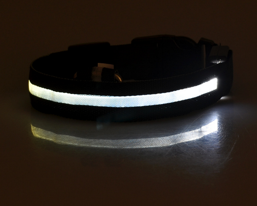 Dog Luminous Collar. Night Safety Flashing, Glow in Dark Dog/Cat Leash.