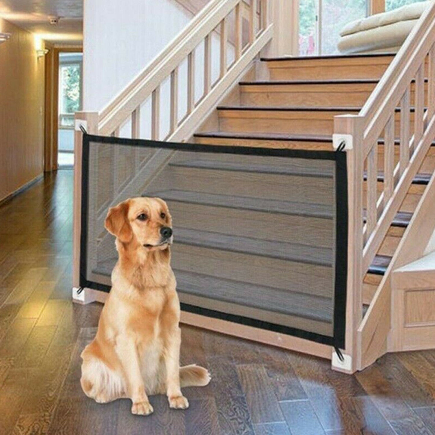 Dog Fence. Safe Guard Gate. Safety Enclosure.