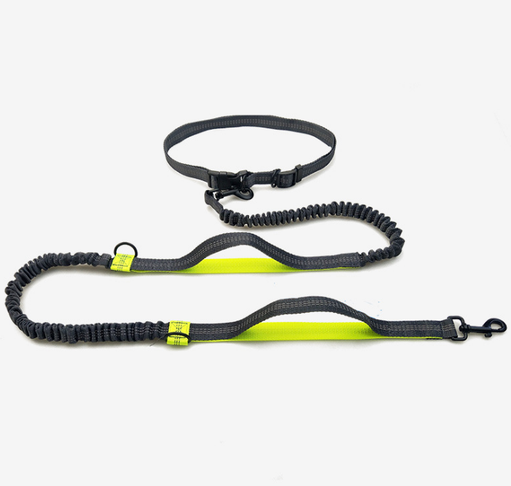 Multi-Function Running Reflective Pull Dog Leash. Double Elastic dog Leash traction