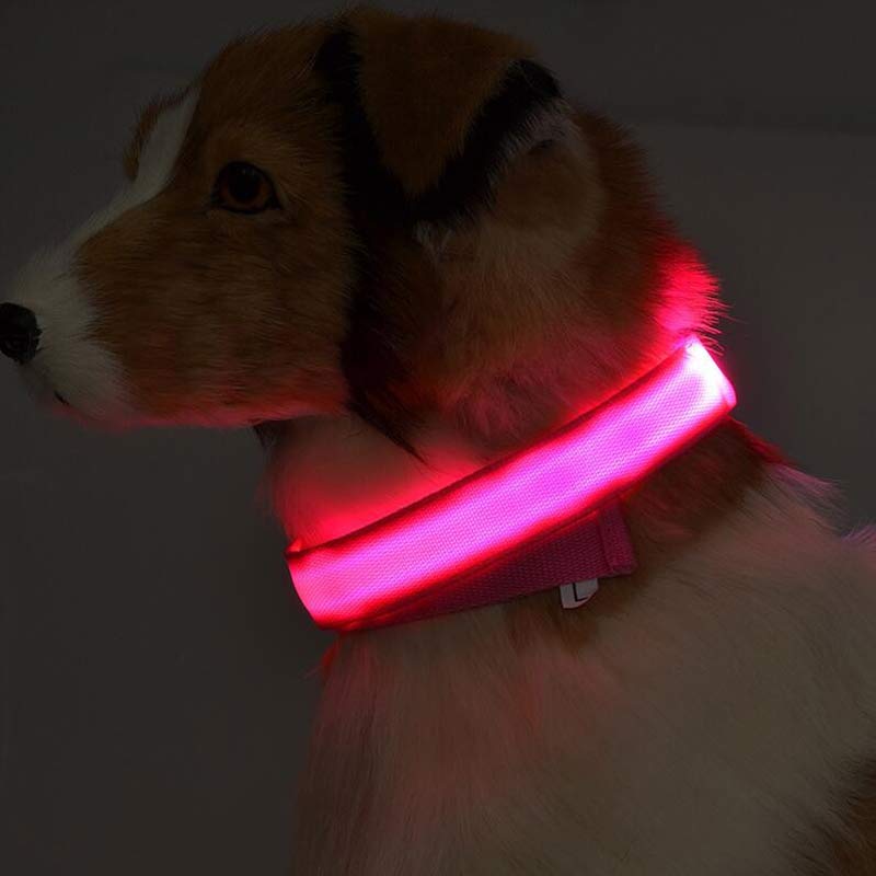 Dog Luminous Collar. Night Safety Flashing, Glow in Dark Dog/Cat Leash.