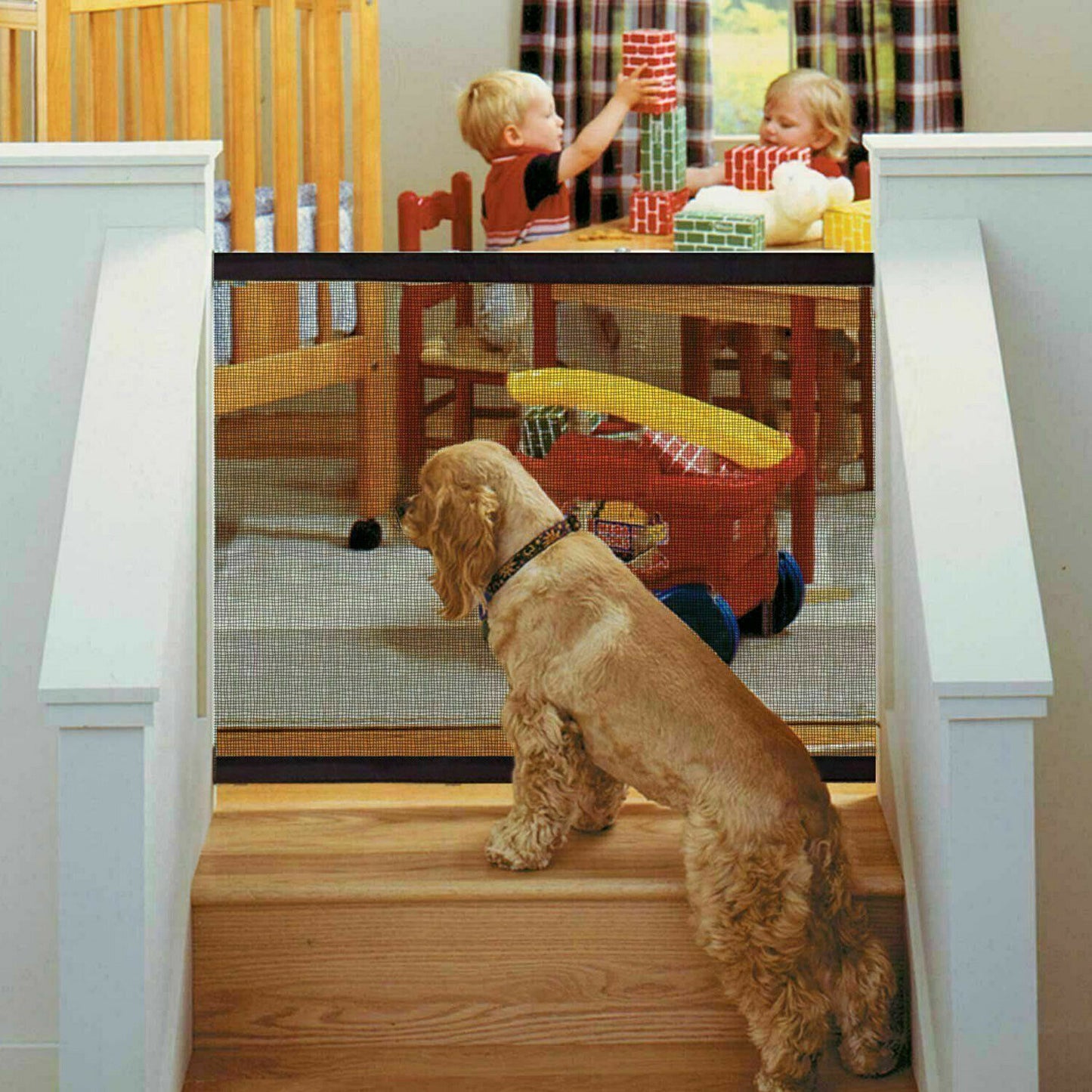 Dog Fence. Safe Guard Gate. Safety Enclosure.